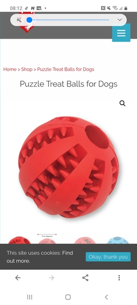 Best thing you bought for new pup