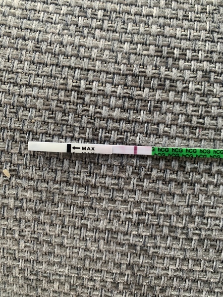 Bfp or dye run?