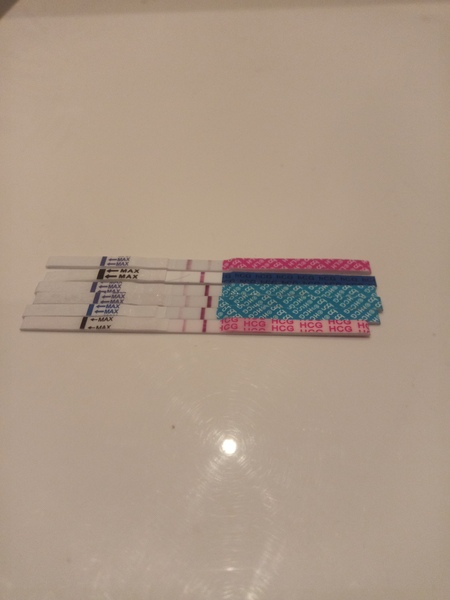 TTC February/March