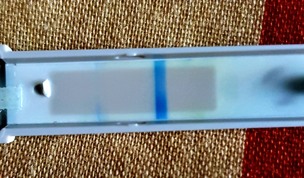 Evap line or positive??