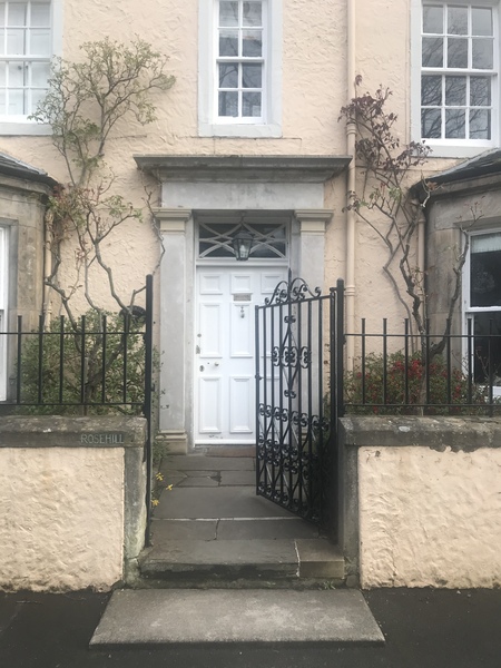 Plants either side of front door (photos)