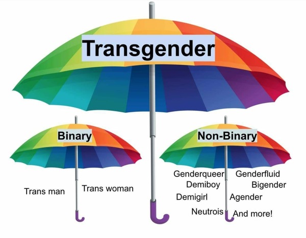 Mumsnet Says They Are Trans Friendly; What do you think?