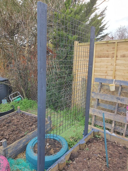 Allotment/Veg Patch Thread 16  Weather weirdness prevails !
