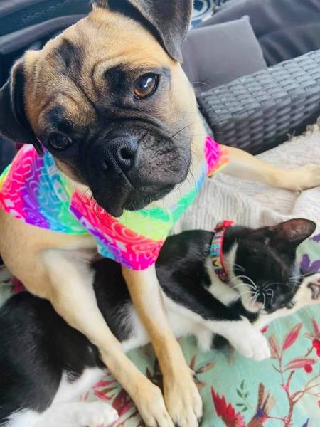 Let’s have a pet picture thread