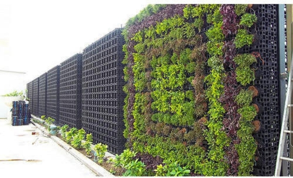 Living/plant wall