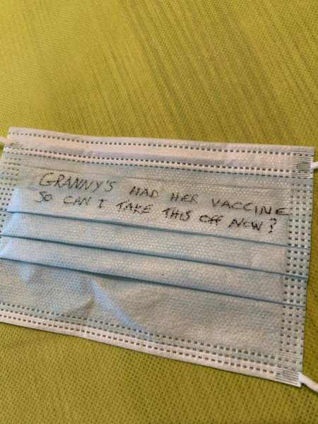 ADs teach twisted lyrics to their pet tortoise