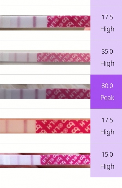 Help with opks on premom app!