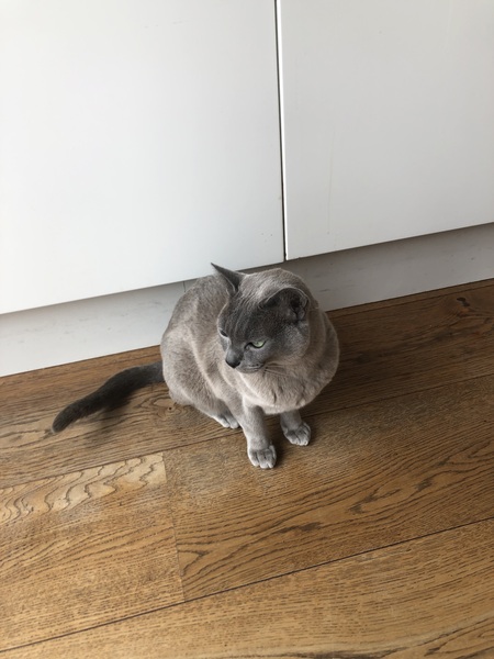 New arrival; so happy!