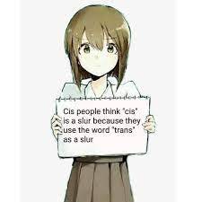 What does CIS mean?