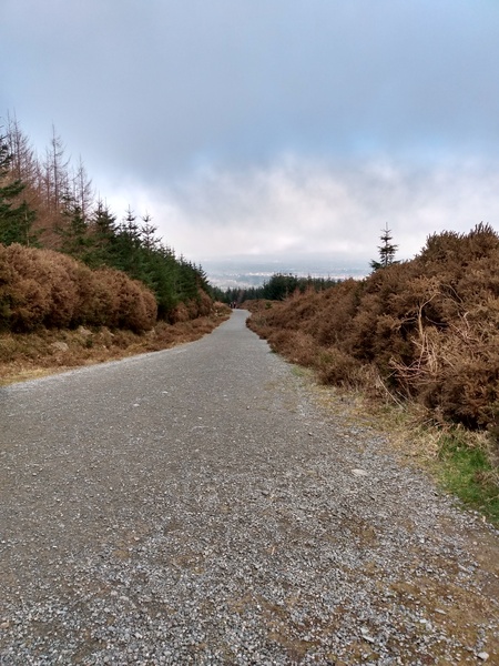 Run / Walk / Swim / Cycle 1000km / miles in 2021 here we go again!