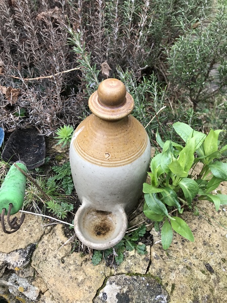 What’s this thing in my garden?