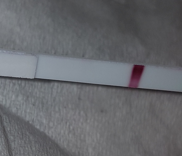 BFN 6dp5dt
