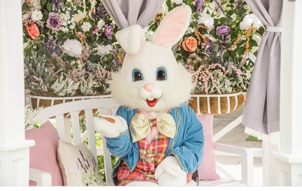 Anyone noticed family/friends more demanding this Easter?