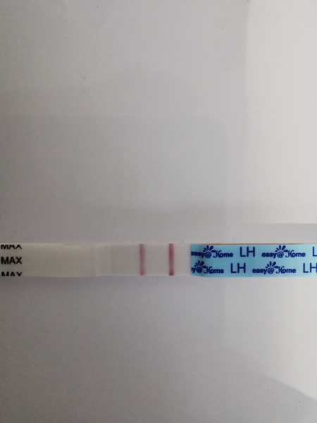 Is this positive ovulation test? Picture included