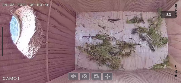 Twitchers! - anyone want to talk birds?