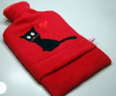 New kitten is very sick. Seller will take no responsibility