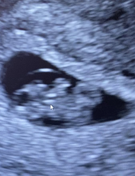 2021 Babies