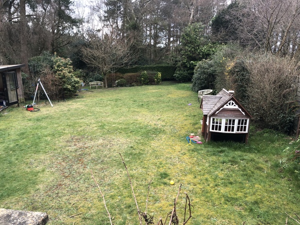 Help me design my garden please!