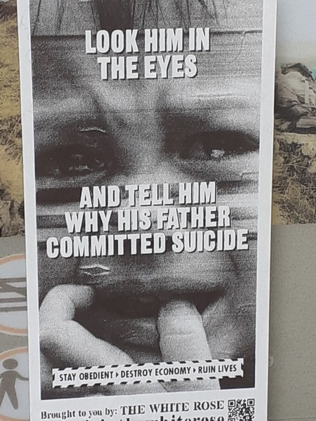 ADs teach twisted lyrics to their pet tortoise