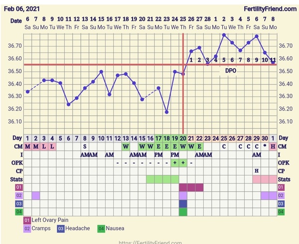 9DPO Symptom Spotting