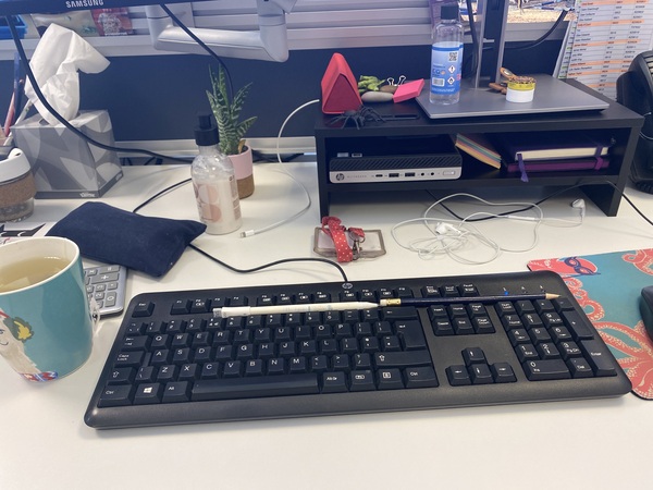 Decluttering one item a day (and counting down til the opening of charity shops!) – thread number 17