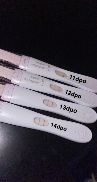 Potential positive at 11 & 12 DPO
