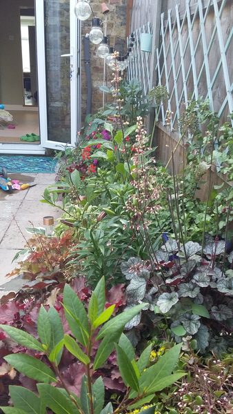 Pots aplenty