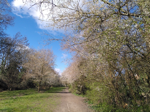Running Thread 16