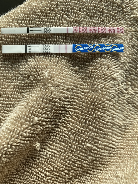 Ovulation test- is it positive or negative?