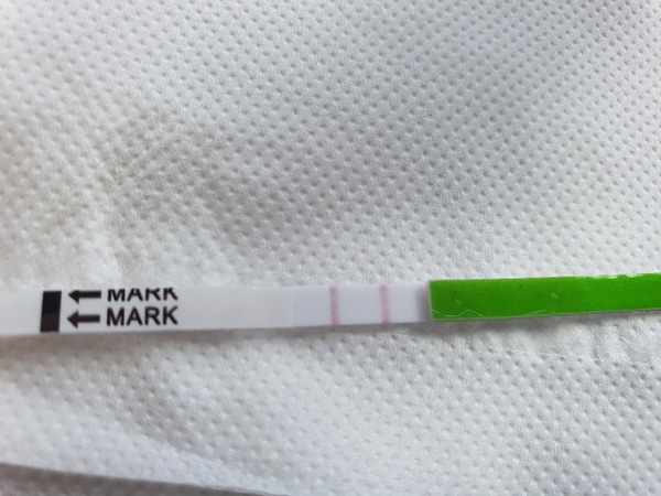 Newbie! When do I count DPO?