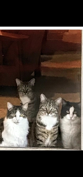 Just a bit cute
