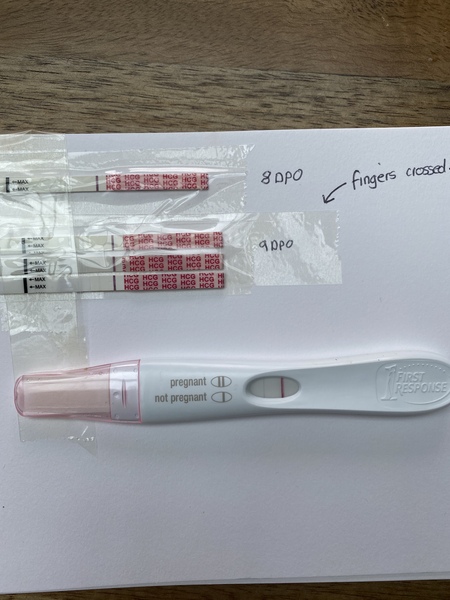First month TTC