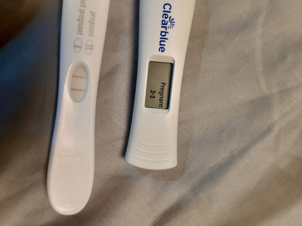 IVF - Feb/March - continued