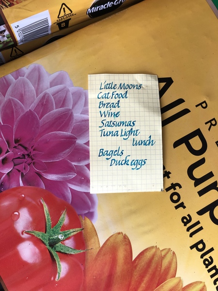 I found a shopping list!