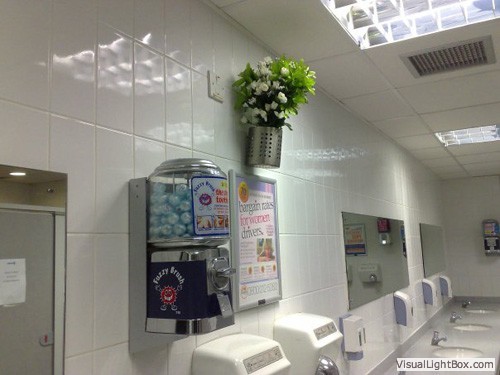 To hate brushing my teeth?