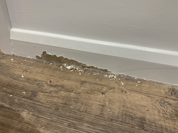 AIBU to ask for compensation for this damage?