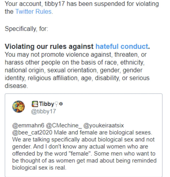 What sort of thing causes a person to be permanent banned from Twitter