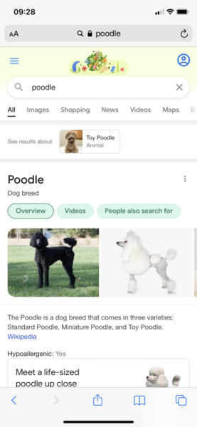 Aibu that dogs are now a class identifier??