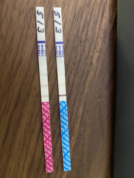 Help Reading HPT & OPK Test After MMC