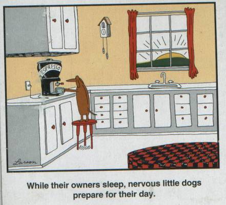 Aibu that dogs are now a class identifier??