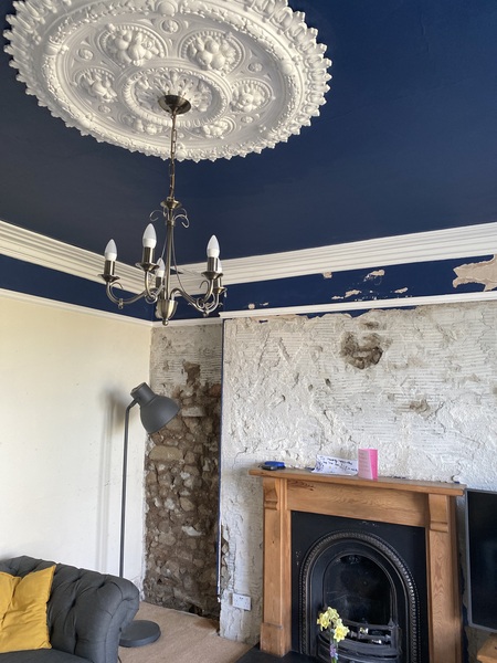 Please show me your painted ceiling (pretty please)