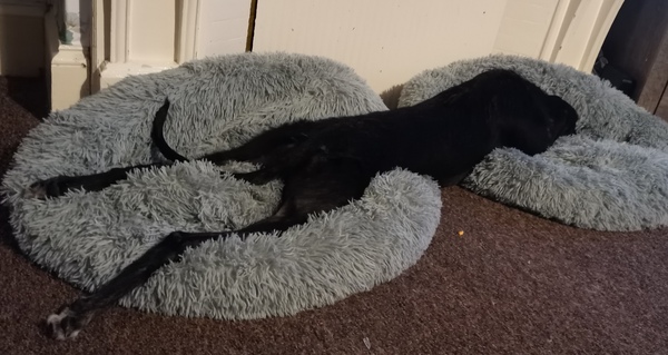 Draw me like one of your French girls Jack