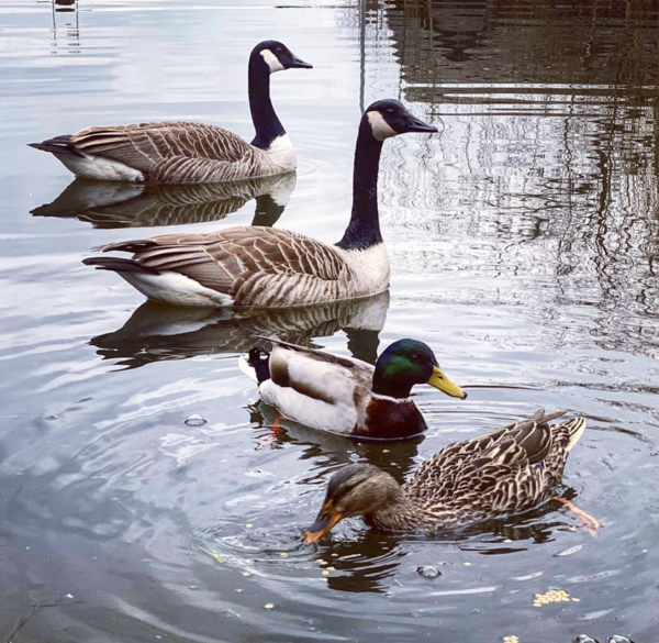 NOT what I expected to wake up to this morning...