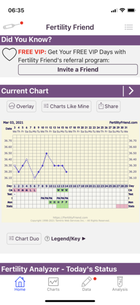 TTC after ectopic Part 2