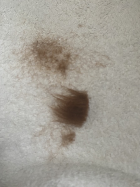 To give myself a Ponytail Haircut?