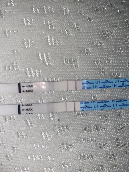 Positive OPK/EWCM in TTW anyone?