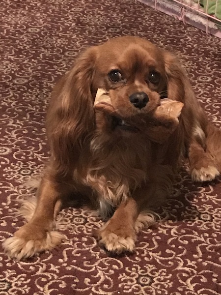 BOF's Big Bucket List Trip To Anglesey! *MNHQ editing title to say that there is some very sad news contained in this thread. Sending love to all*