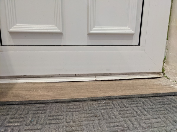 Damp next to back door
