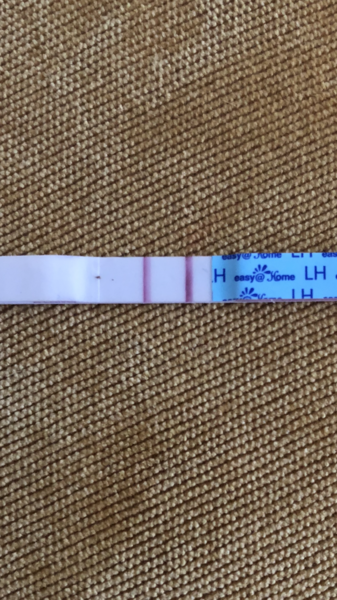 Can someone please tell me if this ovulation test is positive ?