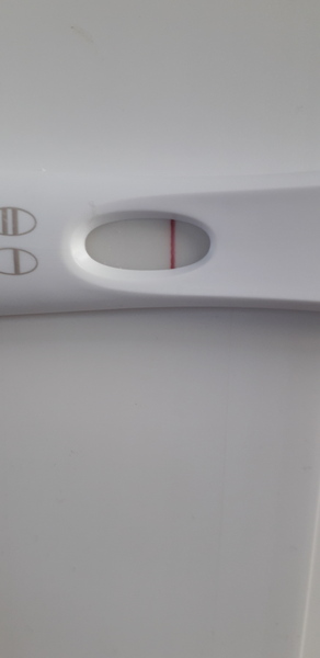 4/5 dpo - anyone want to symptom spot?